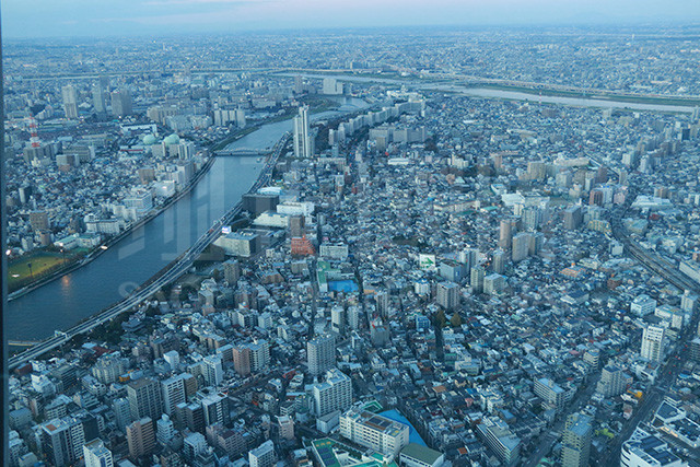 晴空樹(shù)鳥(niǎo)瞰東京